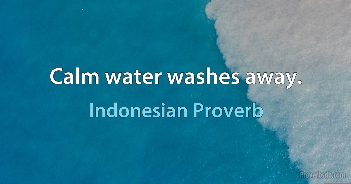 Calm water washes away. (Indonesian Proverb)