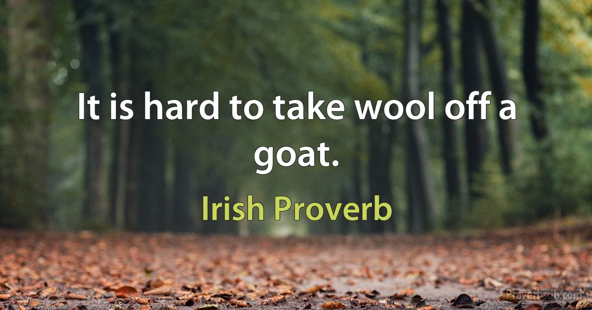 It is hard to take wool off a goat. (Irish Proverb)