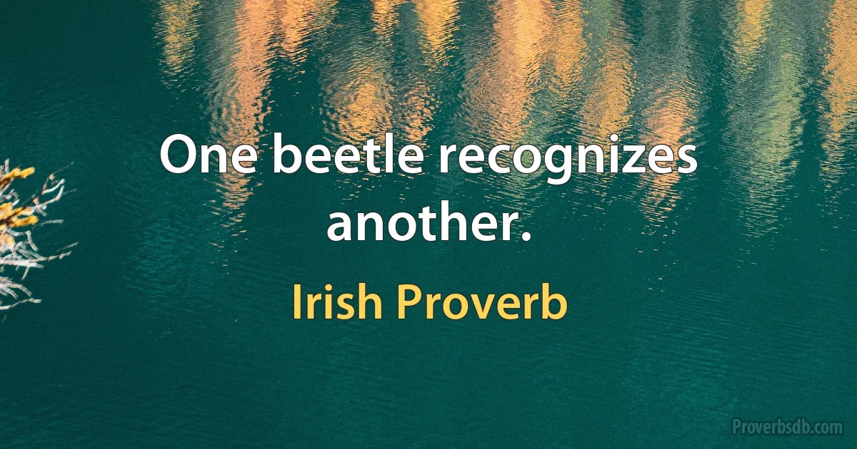 One beetle recognizes another. (Irish Proverb)