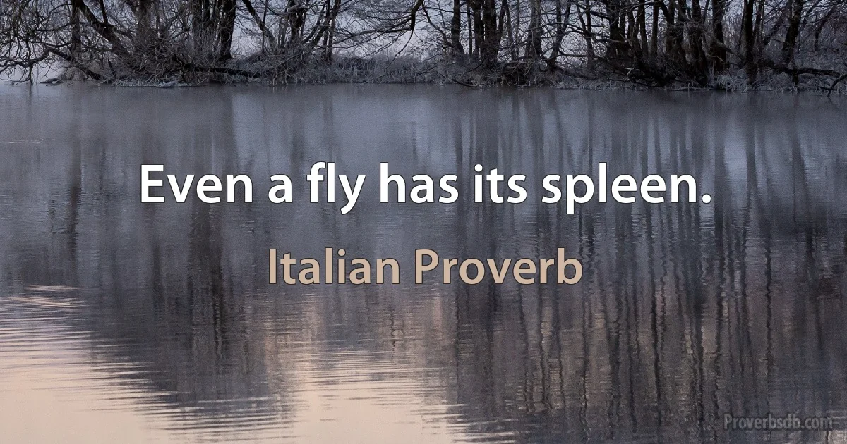 Even a fly has its spleen. (Italian Proverb)