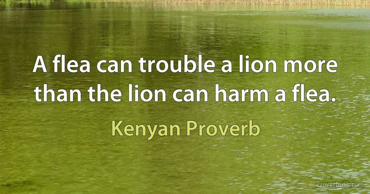 A flea can trouble a lion more than the lion can harm a flea. (Kenyan Proverb)