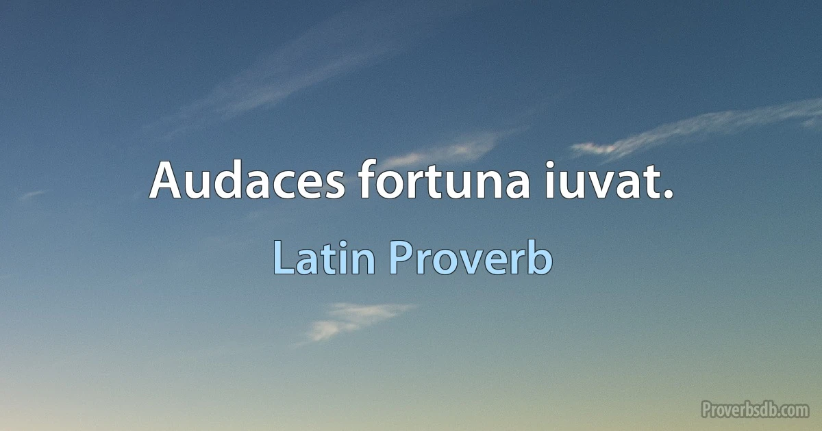 Audaces fortuna iuvat. (Latin Proverb)