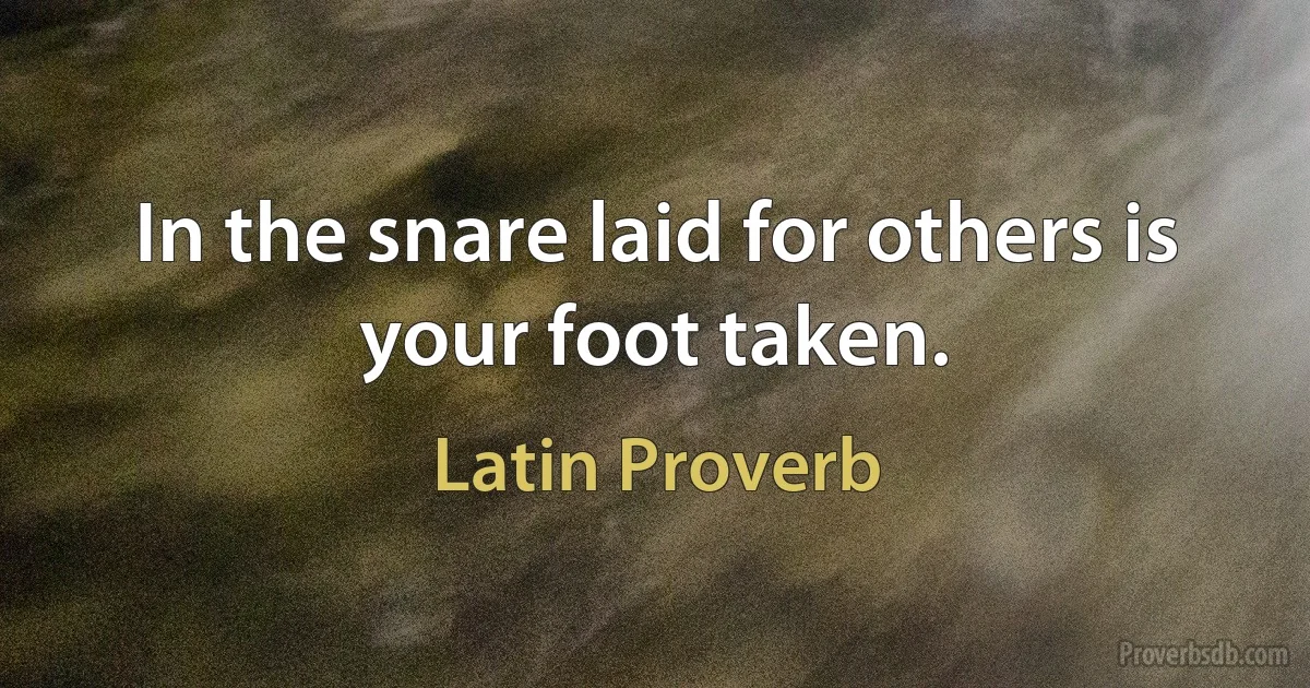 In the snare laid for others is your foot taken. (Latin Proverb)