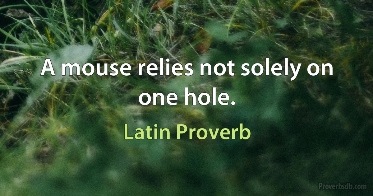 A mouse relies not solely on one hole. (Latin Proverb)