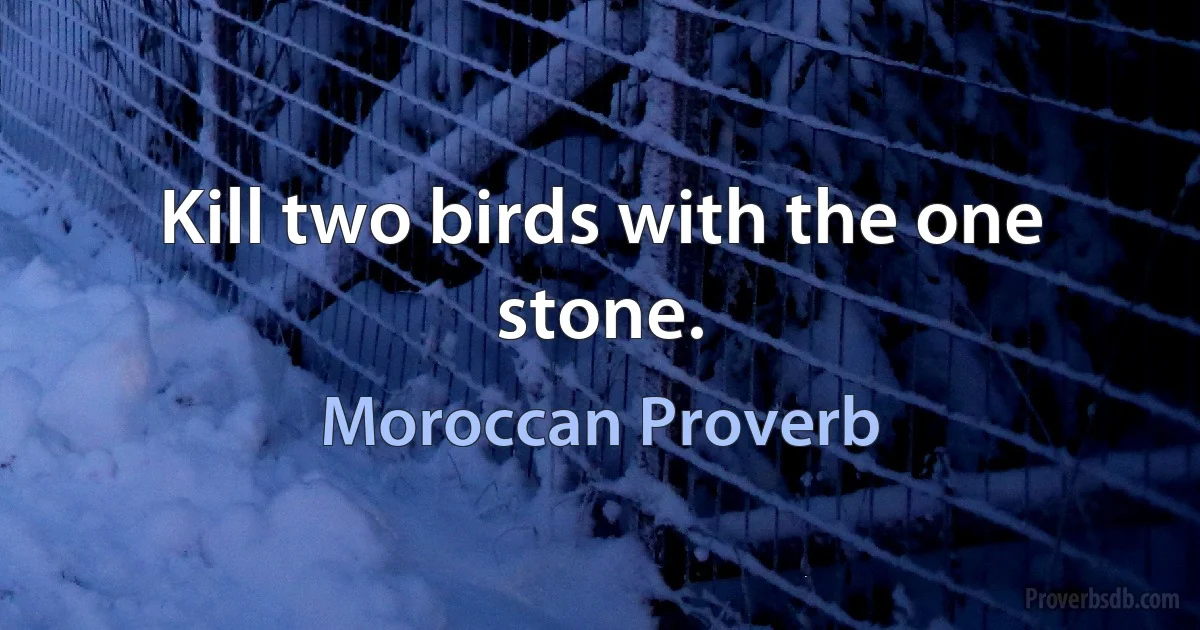 Kill two birds with the one stone. (Moroccan Proverb)