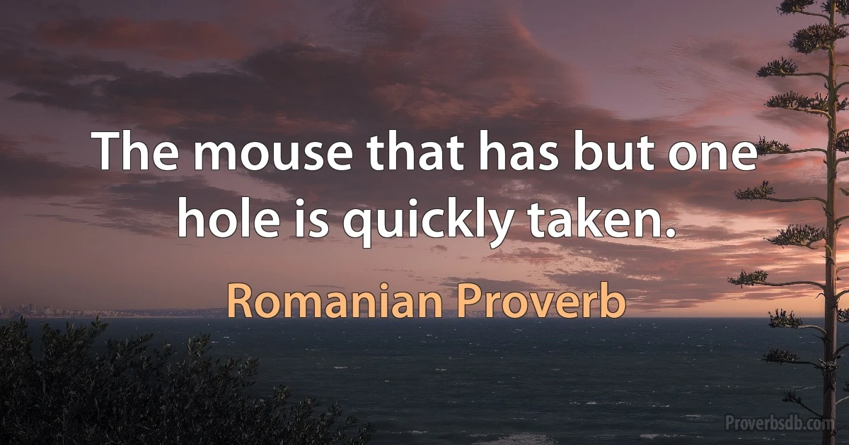 The mouse that has but one hole is quickly taken. (Romanian Proverb)