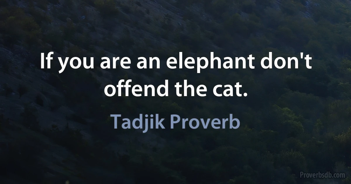 If you are an elephant don't offend the cat. (Tadjik Proverb)