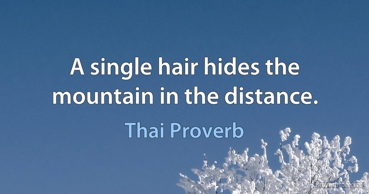 A single hair hides the mountain in the distance. (Thai Proverb)