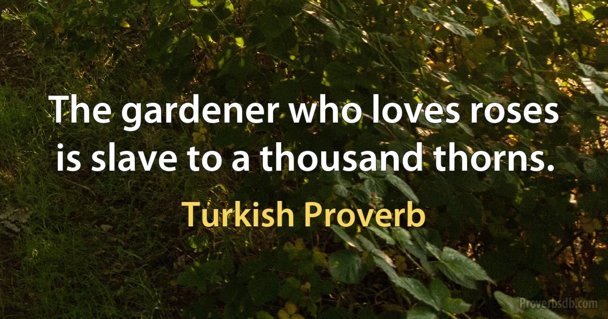 The gardener who loves roses is slave to a thousand thorns. (Turkish Proverb)