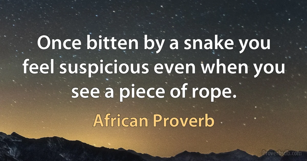 Once bitten by a snake you feel suspicious even when you see a piece of rope. (African Proverb)