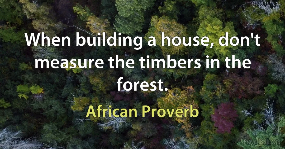 When building a house, don't measure the timbers in the forest. (African Proverb)