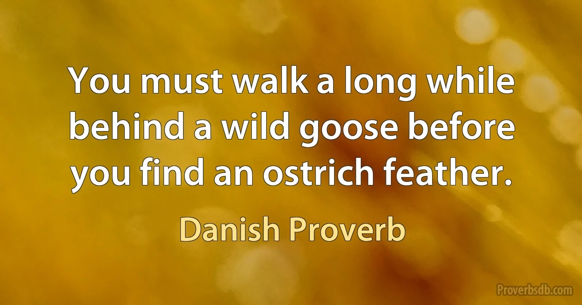 You must walk a long while behind a wild goose before you find an ostrich feather. (Danish Proverb)