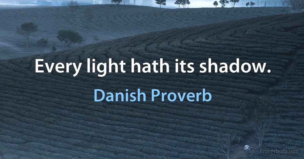 Every light hath its shadow. (Danish Proverb)