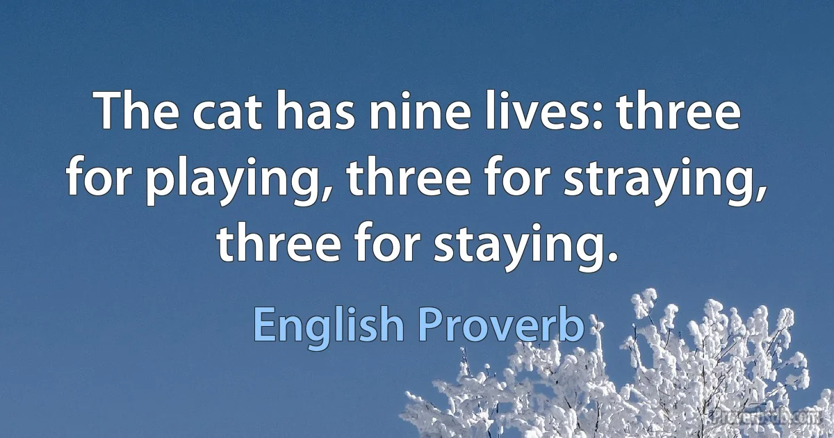 The cat has nine lives: three for playing, three for straying, three for staying. (English Proverb)