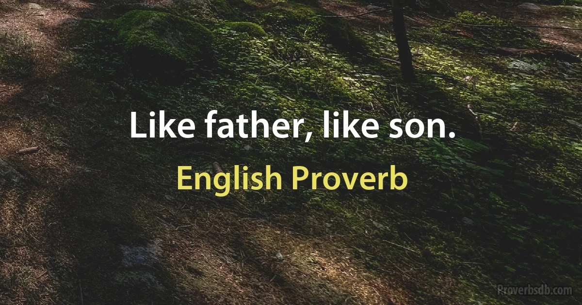 Like father, like son. (English Proverb)