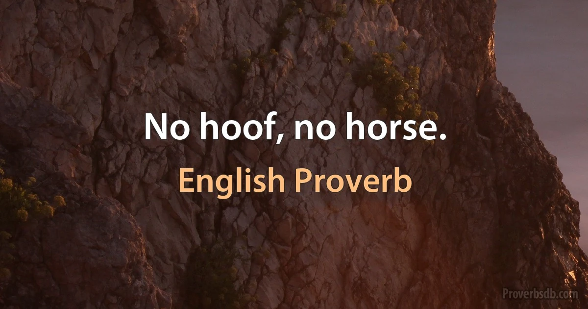 No hoof, no horse. (English Proverb)