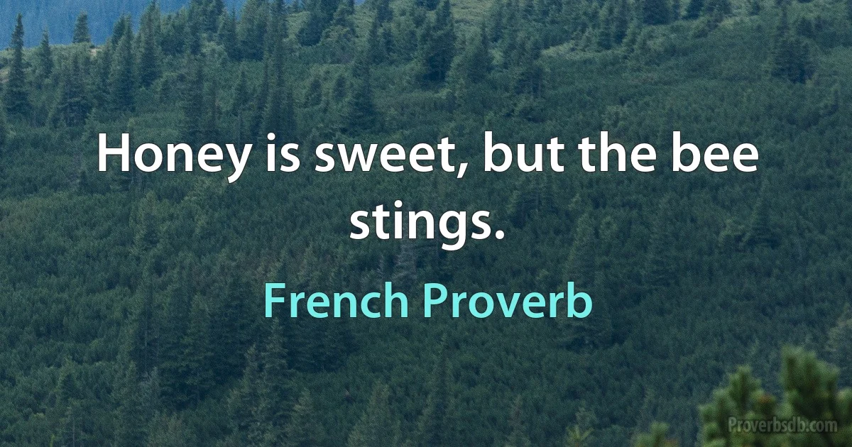 Honey is sweet, but the bee stings. (French Proverb)