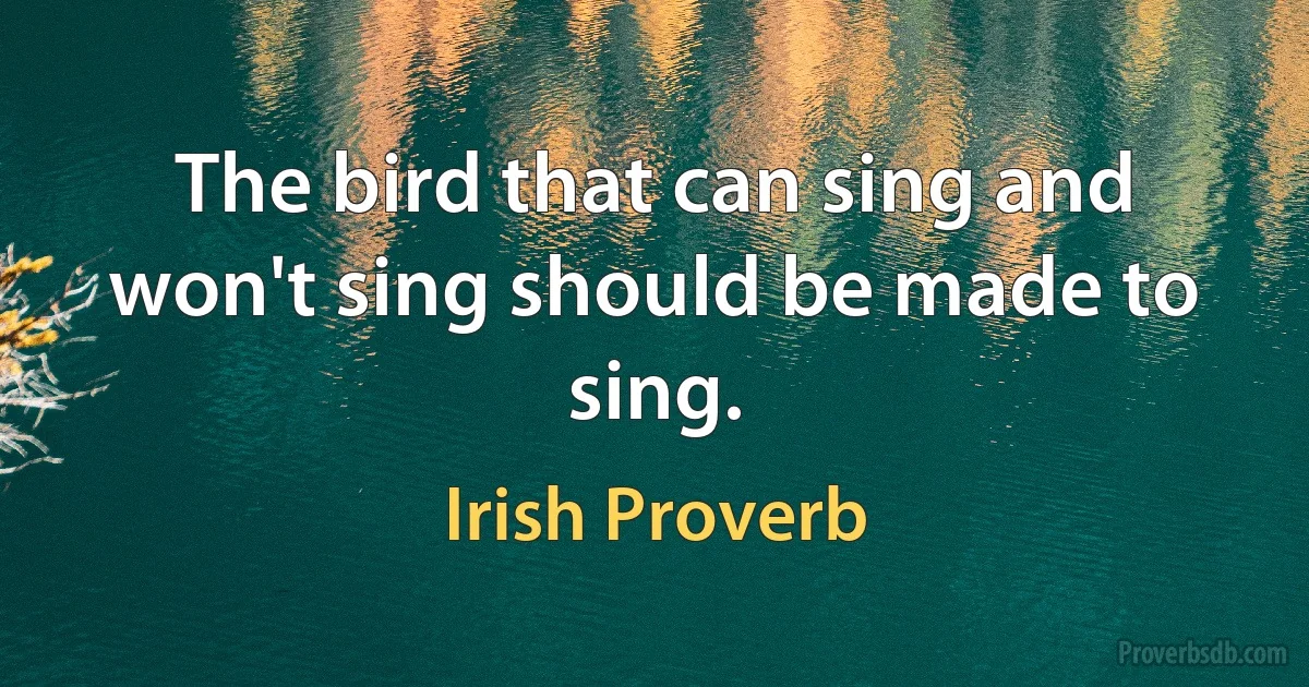 The bird that can sing and won't sing should be made to sing. (Irish Proverb)