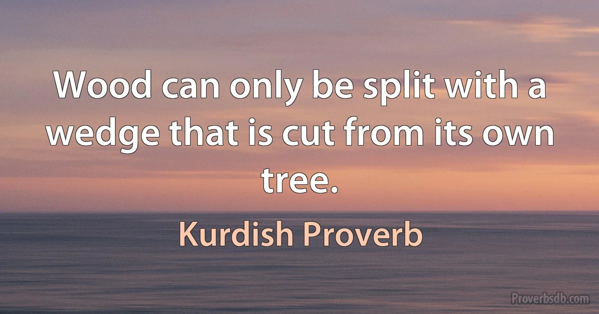 Wood can only be split with a wedge that is cut from its own tree. (Kurdish Proverb)