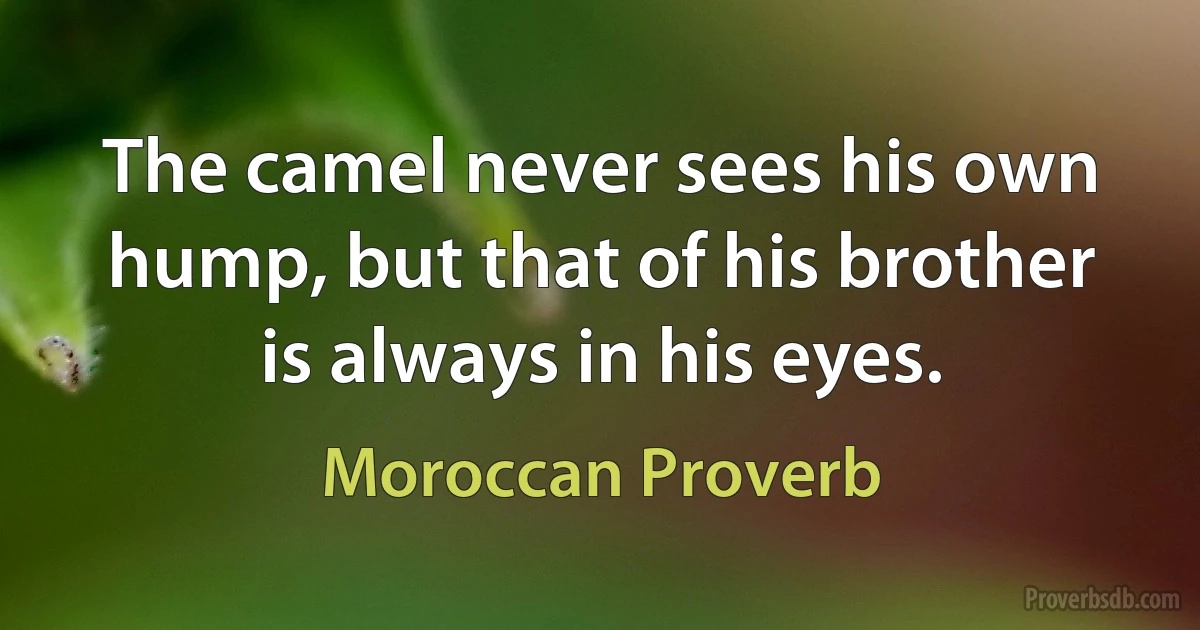 The camel never sees his own hump, but that of his brother is always in his eyes. (Moroccan Proverb)