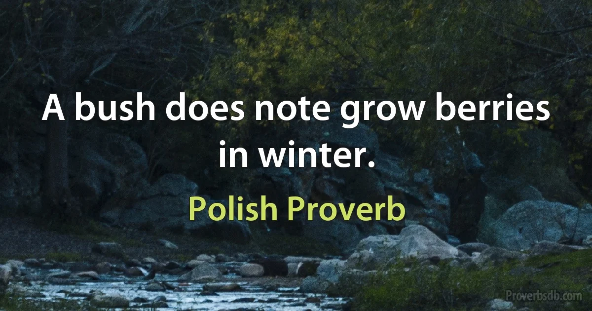 A bush does note grow berries in winter. (Polish Proverb)