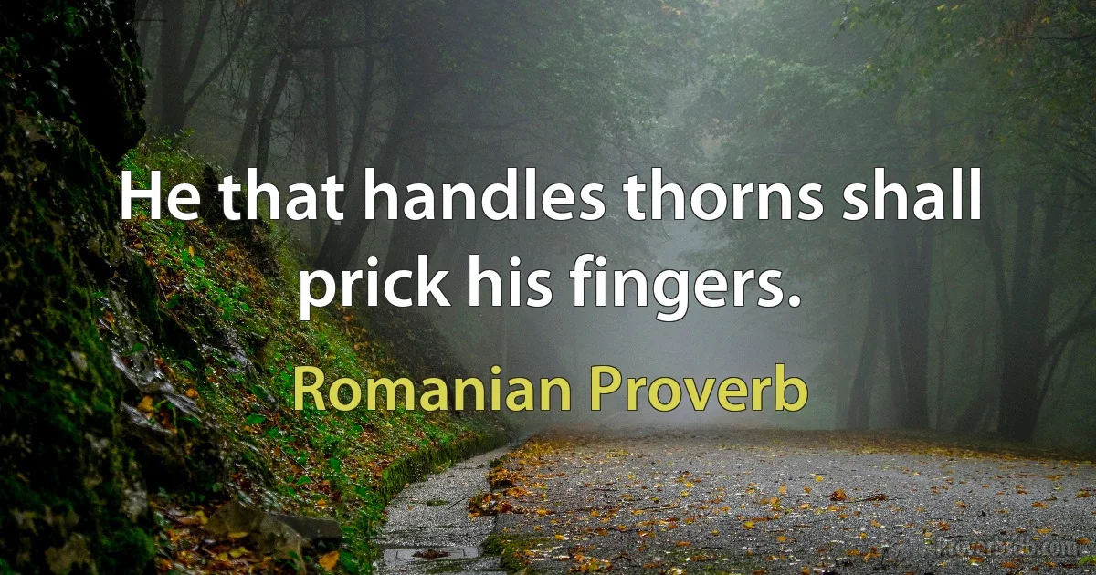 He that handles thorns shall prick his fingers. (Romanian Proverb)