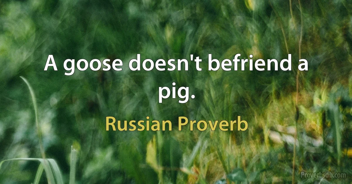 A goose doesn't befriend a pig. (Russian Proverb)