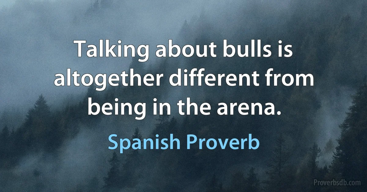 Talking about bulls is altogether different from being in the arena. (Spanish Proverb)