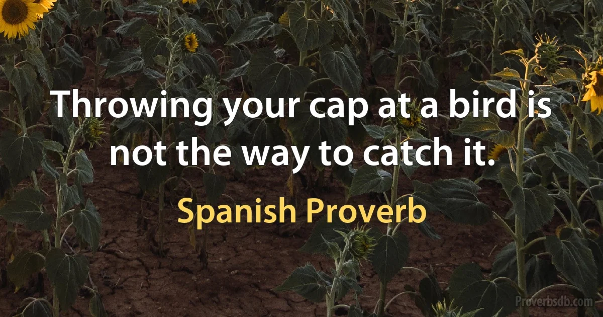 Throwing your cap at a bird is not the way to catch it. (Spanish Proverb)