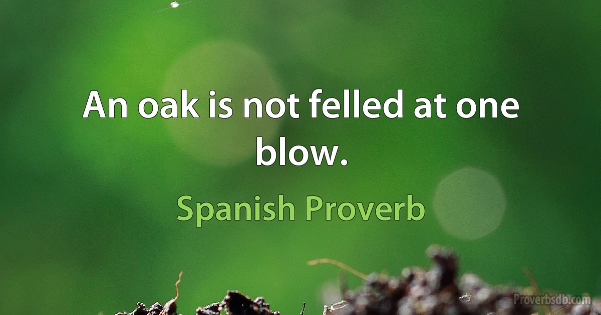 An oak is not felled at one blow. (Spanish Proverb)