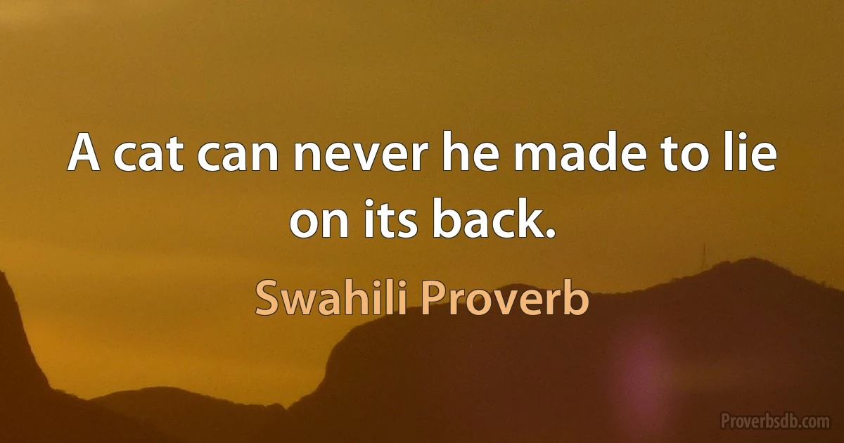 A cat can never he made to lie on its back. (Swahili Proverb)