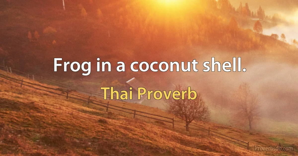 Frog in a coconut shell. (Thai Proverb)