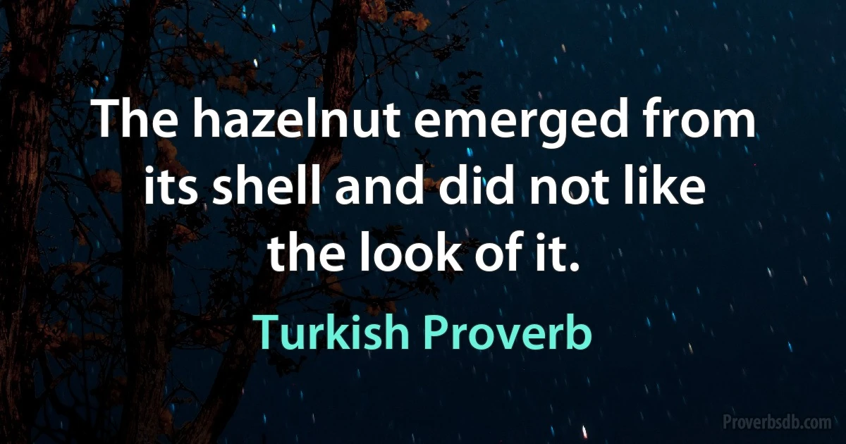 The hazelnut emerged from its shell and did not like the look of it. (Turkish Proverb)