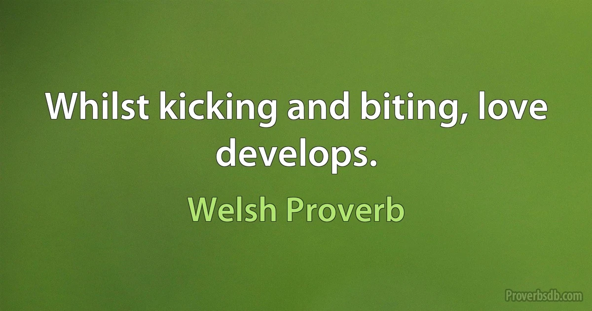 Whilst kicking and biting, love develops. (Welsh Proverb)