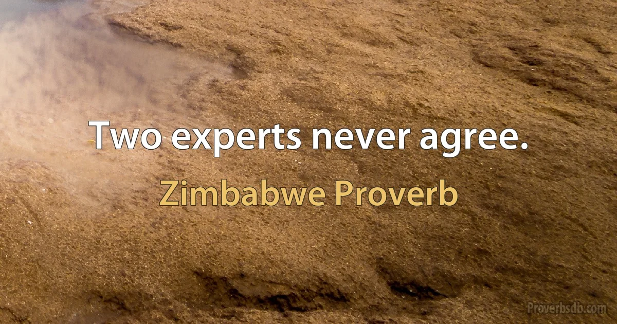 Two experts never agree. (Zimbabwe Proverb)