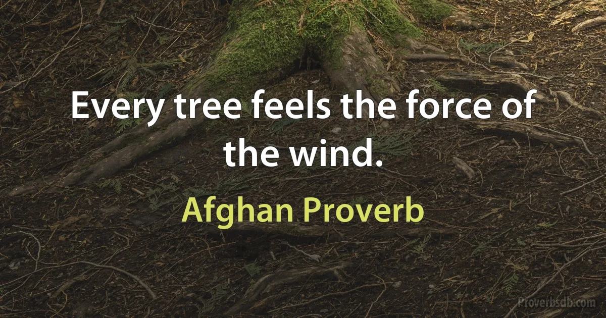 Every tree feels the force of the wind. (Afghan Proverb)