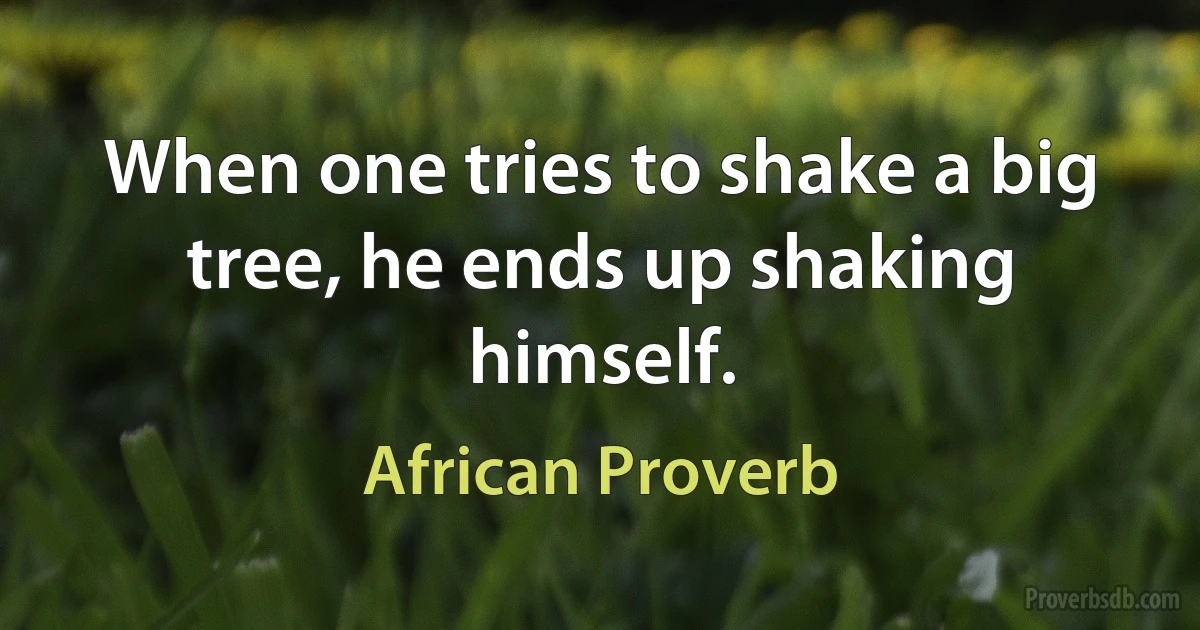 When one tries to shake a big tree, he ends up shaking himself. (African Proverb)