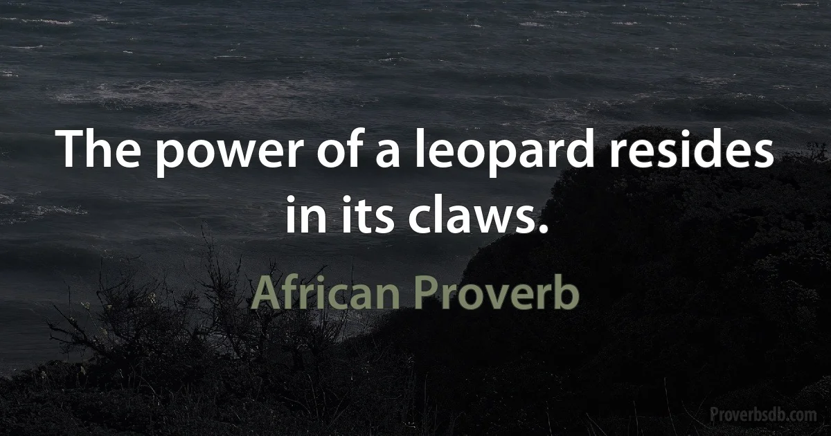 The power of a leopard resides in its claws. (African Proverb)