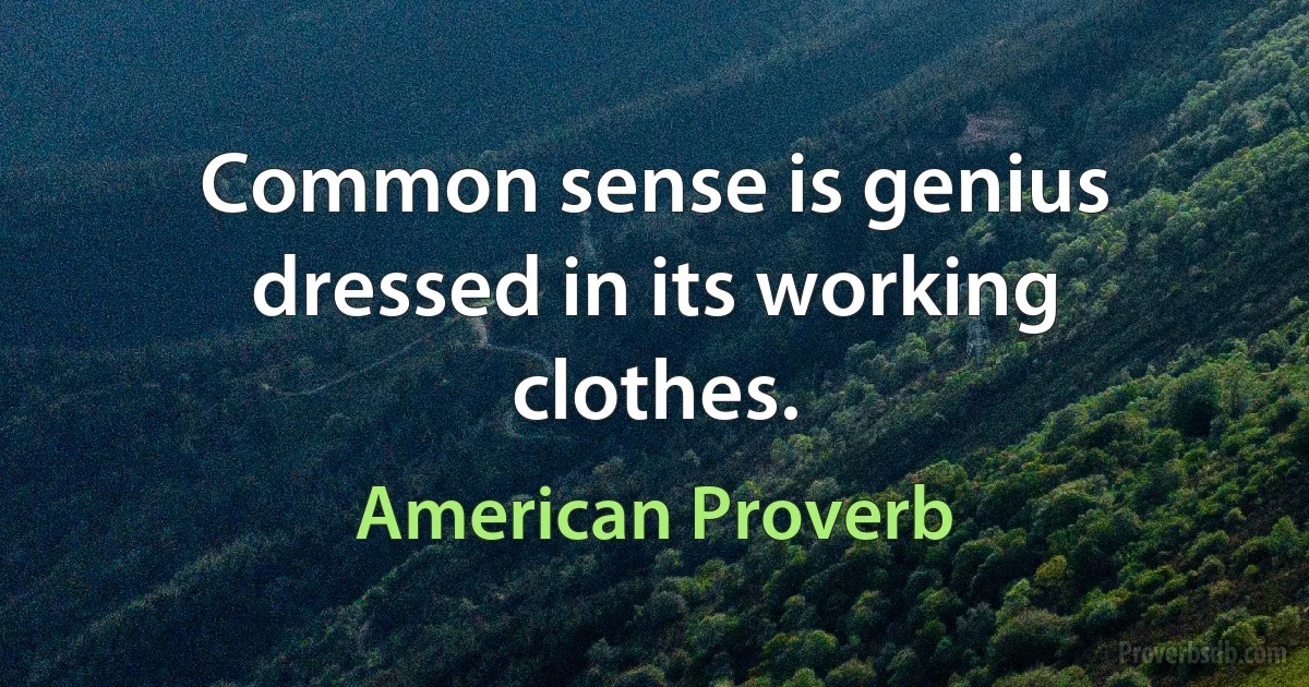 Common sense is genius dressed in its working clothes. (American Proverb)