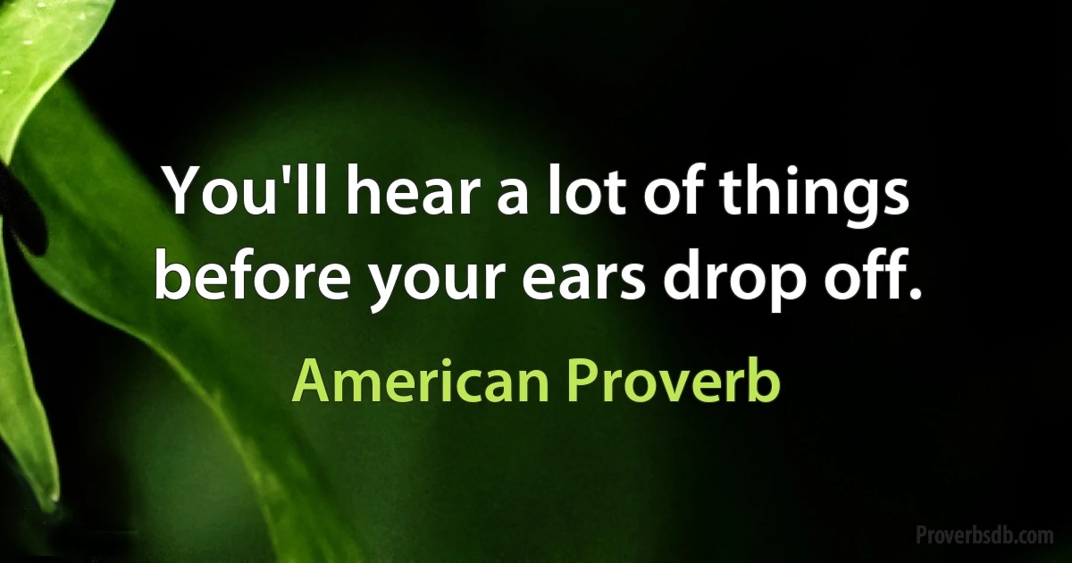 You'll hear a lot of things before your ears drop off. (American Proverb)