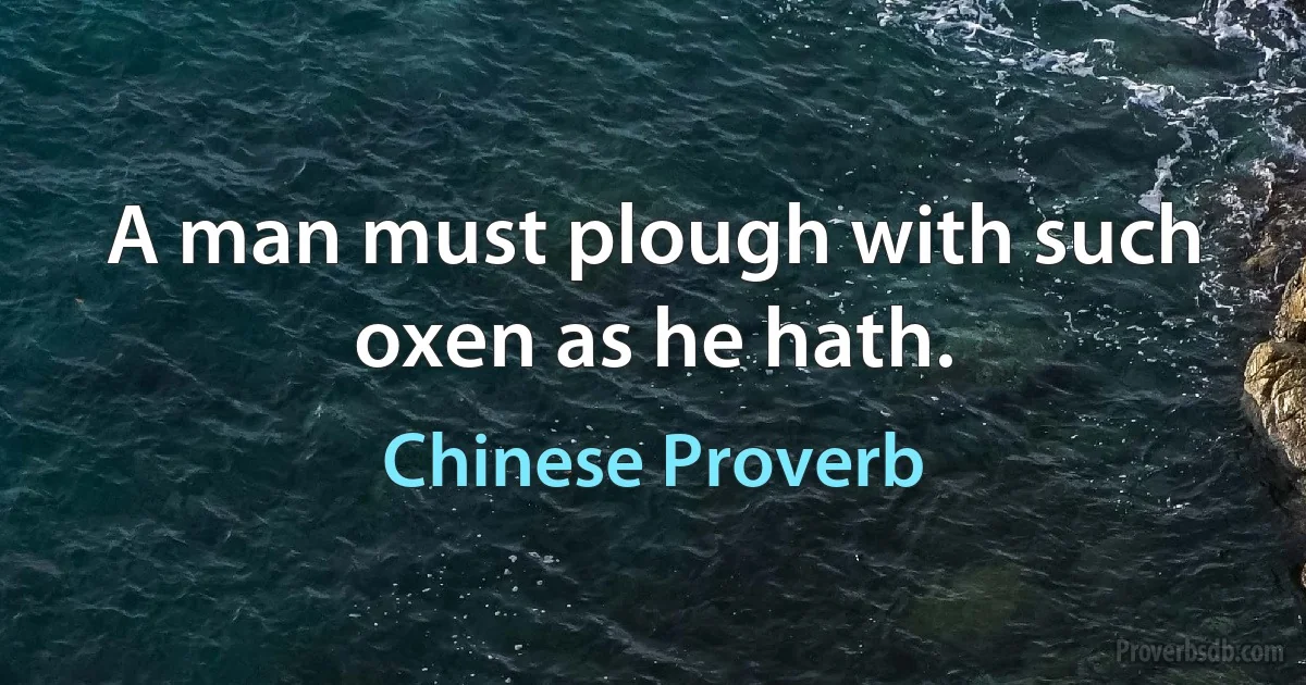 A man must plough with such oxen as he hath. (Chinese Proverb)