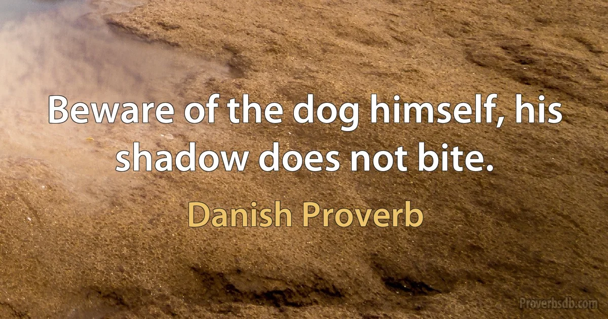 Beware of the dog himself, his shadow does not bite. (Danish Proverb)