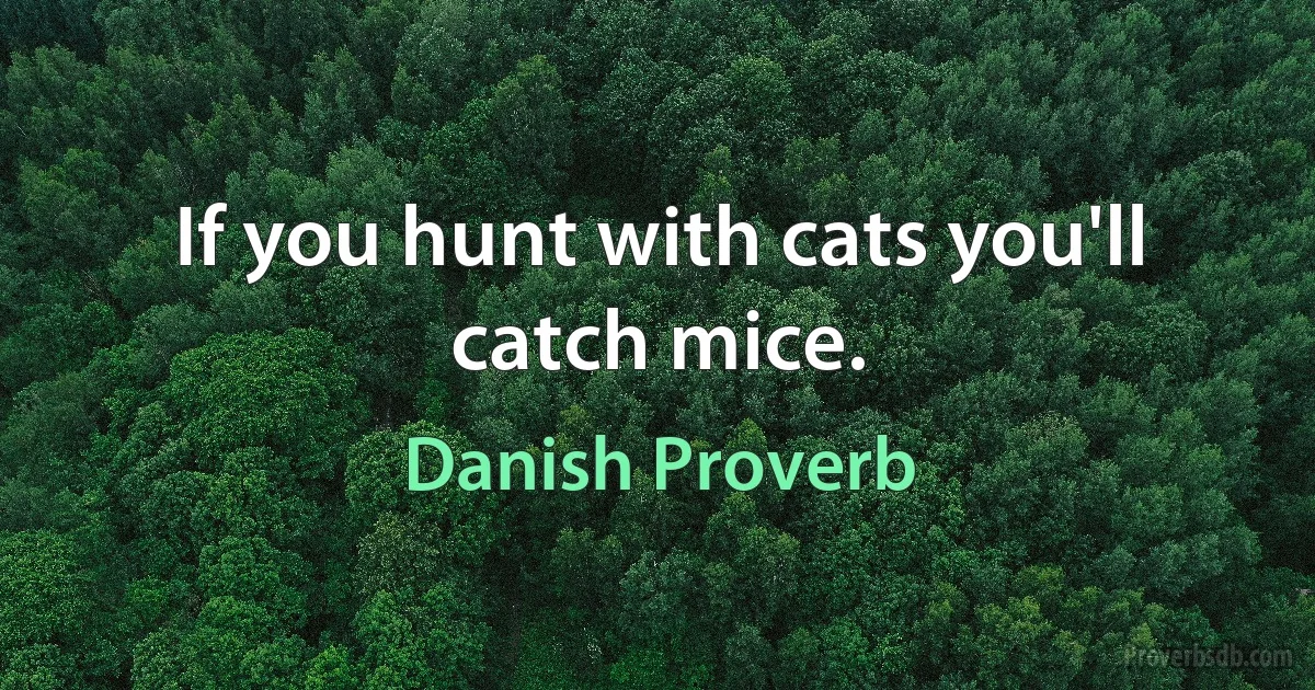 If you hunt with cats you'll catch mice. (Danish Proverb)