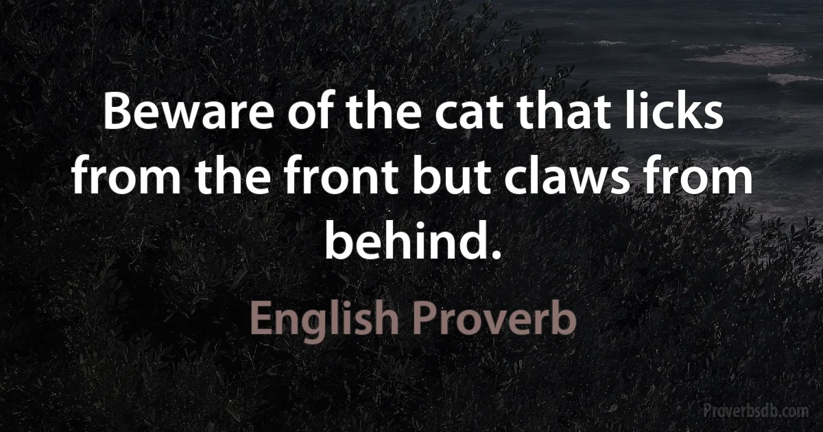 Beware of the cat that licks from the front but claws from behind. (English Proverb)