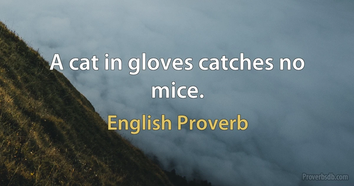 A cat in gloves catches no mice. (English Proverb)