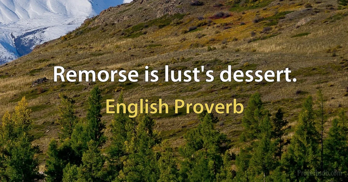 Remorse is lust's dessert. (English Proverb)