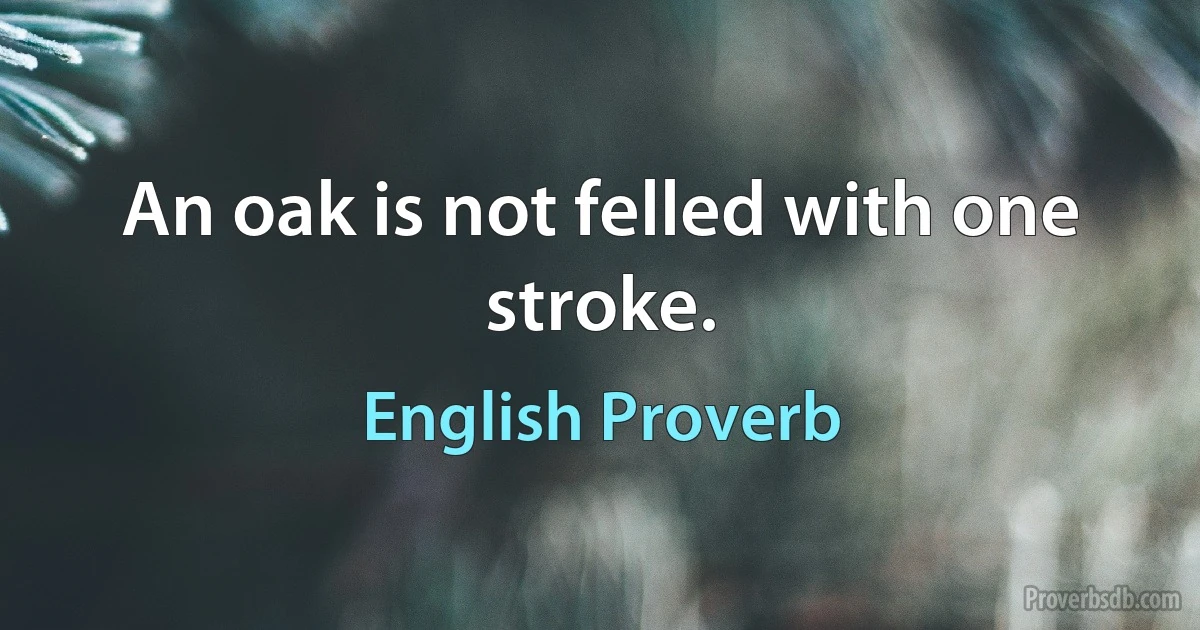 An oak is not felled with one stroke. (English Proverb)