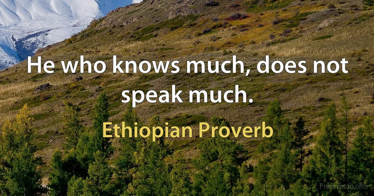 He who knows much, does not speak much. (Ethiopian Proverb)