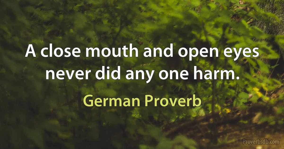 A close mouth and open eyes never did any one harm. (German Proverb)