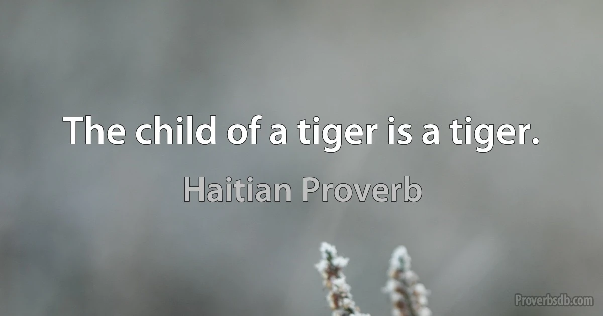 The child of a tiger is a tiger. (Haitian Proverb)